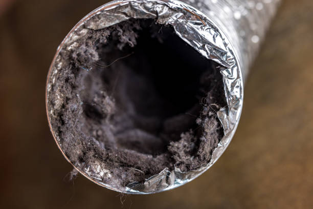 Best HVAC System Cleaning  in Glenside, PA